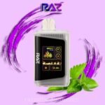 Raz Vape Miami Mint